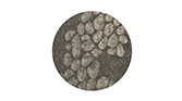 TURKANA | Wool Rug Modern Contemporary Design by BRABBU